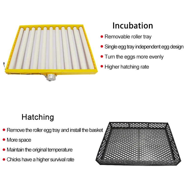 300 egg incubator-16.jpg