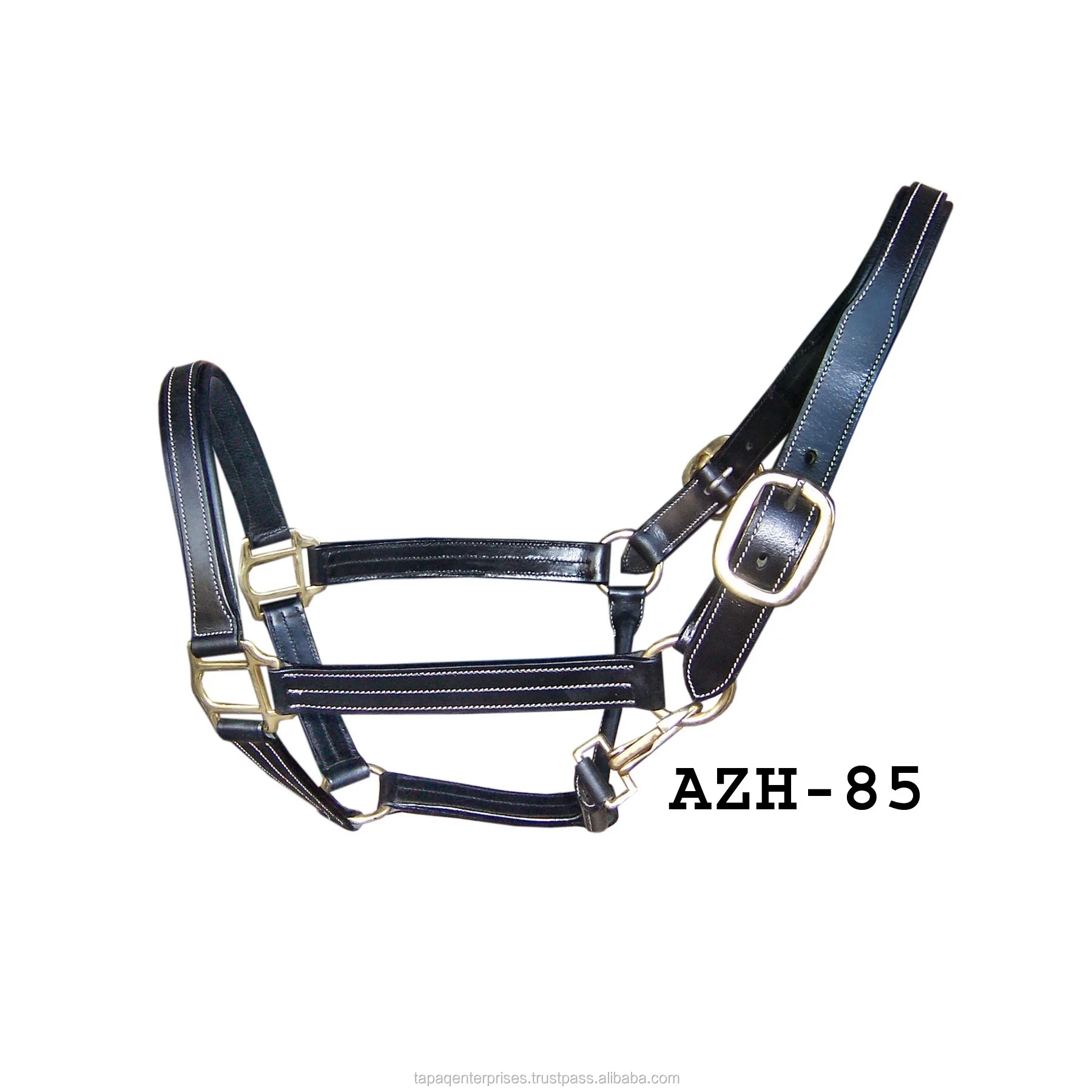 AZH 85.jpg