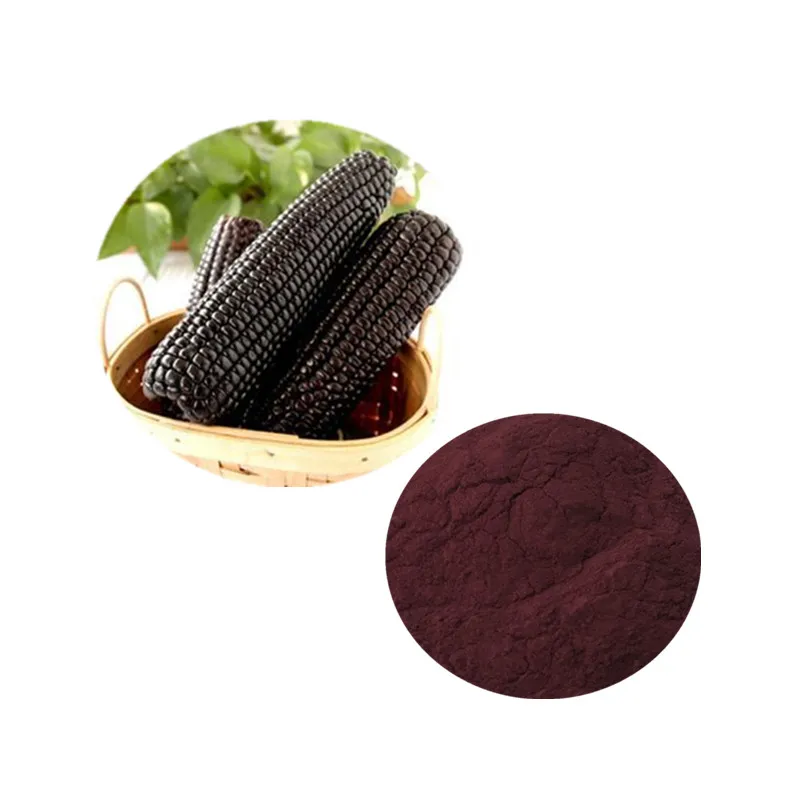 批发价紫玉米花青素 1%-25% 最佳销售高品质