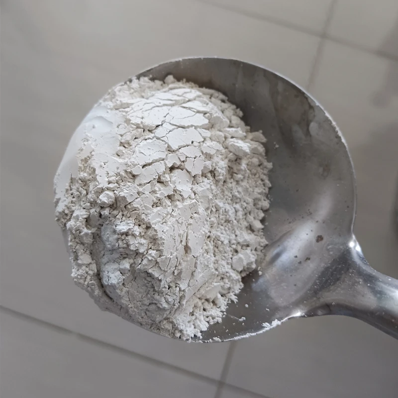 Factory Directly Supply White Powder Calcium Hydroxide Hydrated Lime for Road Construction details