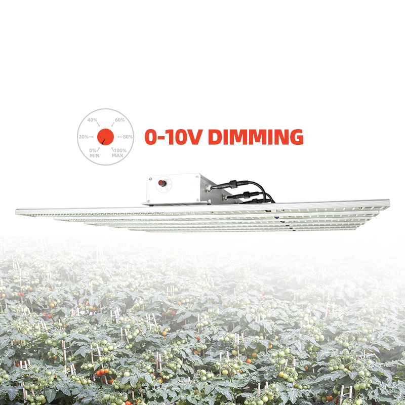 Veg and bloom Dimmable 600w led grow light custom spectrum red led light indoor grow indoor plants for vertical farm
