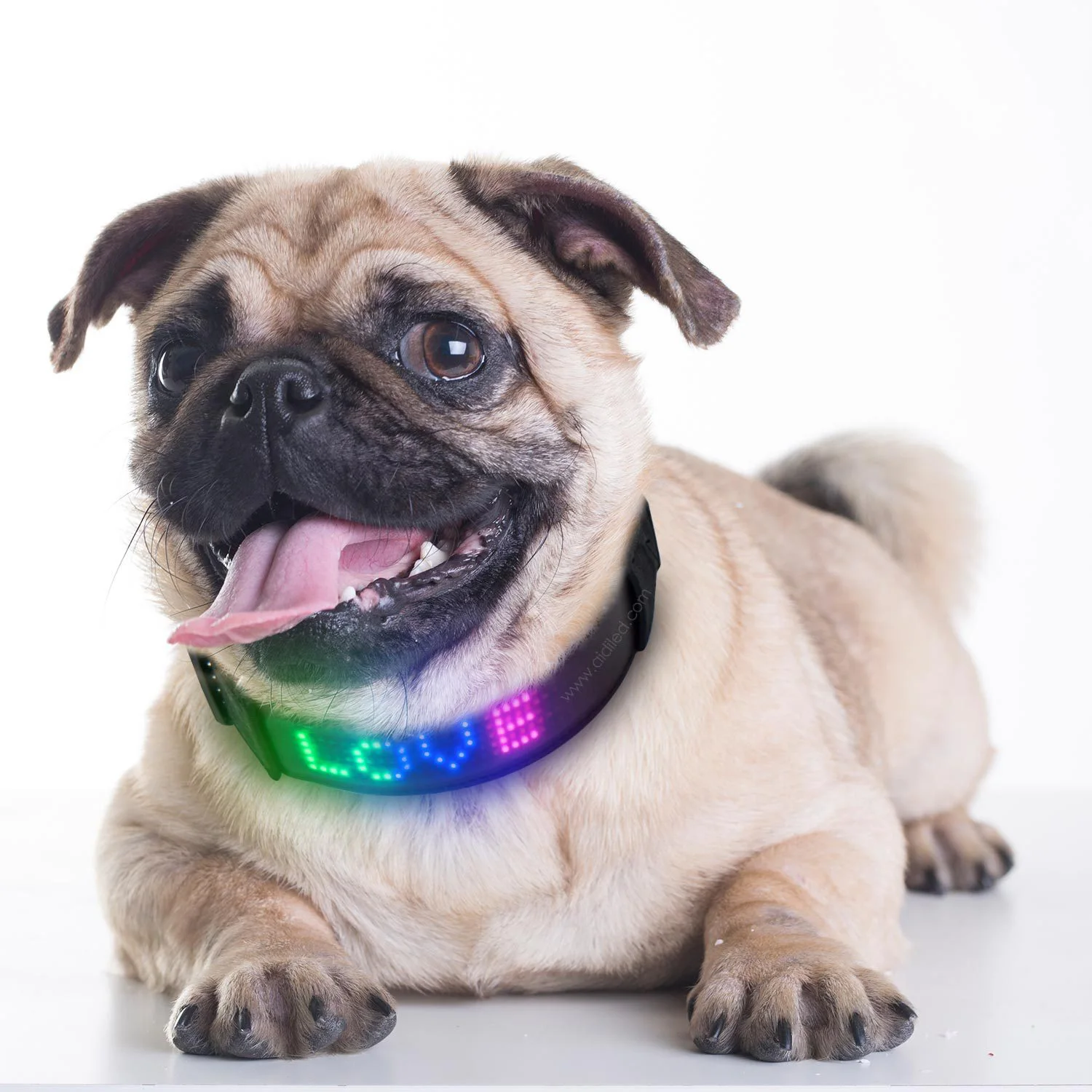 Smart APP Control Collar Clip Bluetooth Collar De Perro Bluetooth Dog DIY Customize Led Pet Collar