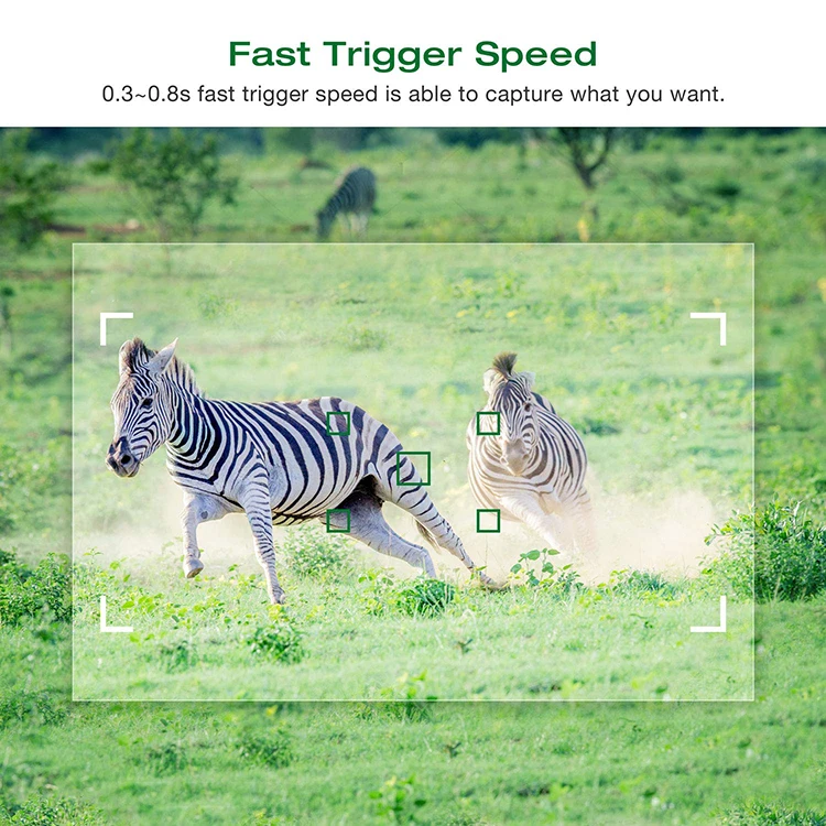 Photo traps H2MINI (1)