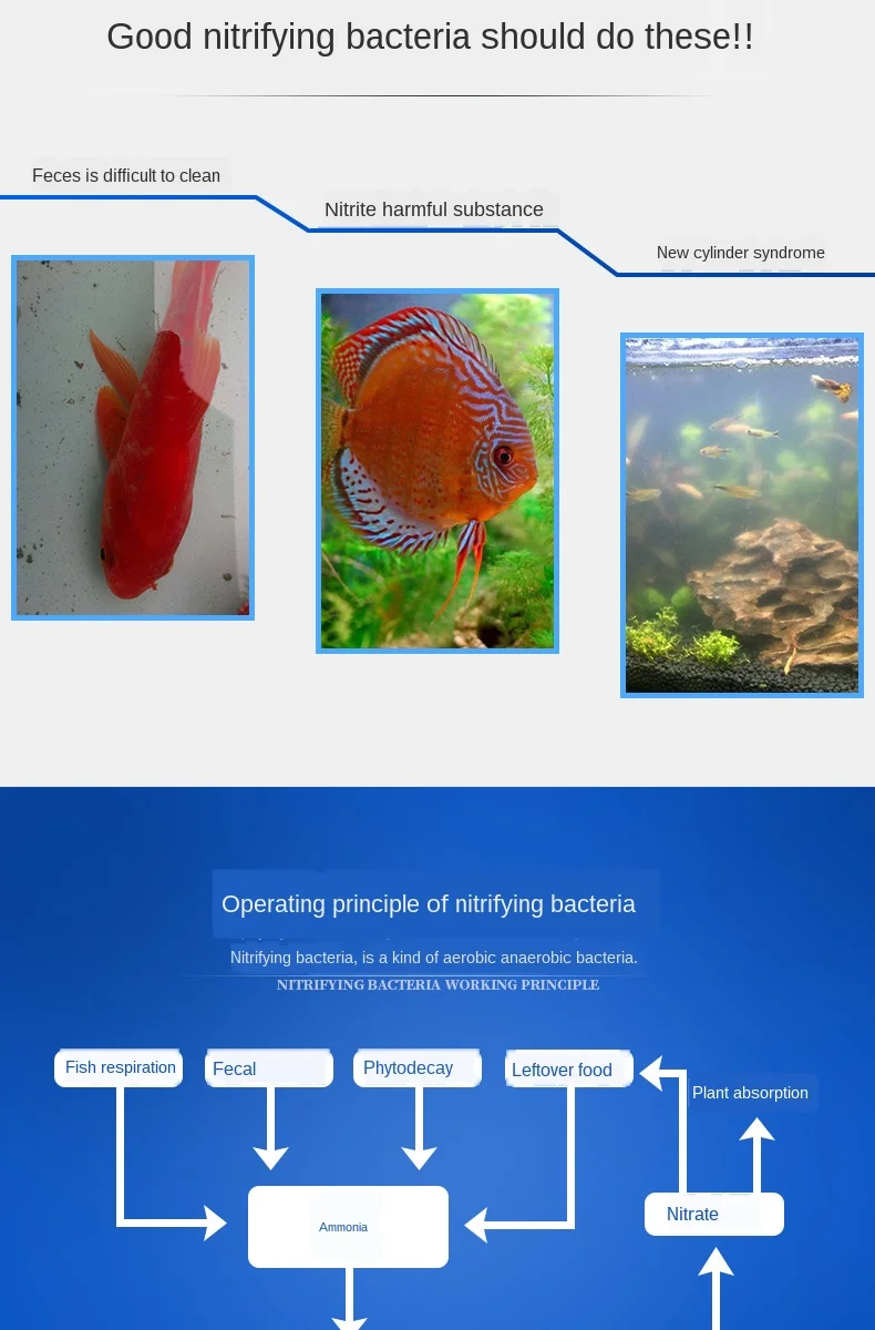 https://ae01.alicdn.com/kf/Hbfc4c1ab4666435ebe1ce63ca11d299e8