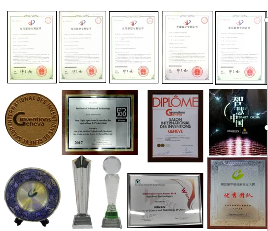 paste-pic-dp_uuid_651rp