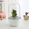 science experiment toys for kids