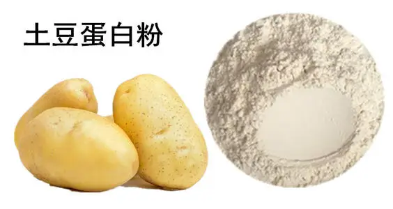 Potatoエキス高品質天然植物エキスpotatoプロテインパウダー Buy ポテトタンパク質 ポテトタンパク質 ポテトエキス Product On Alibaba Com