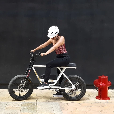 rear hub electric bike