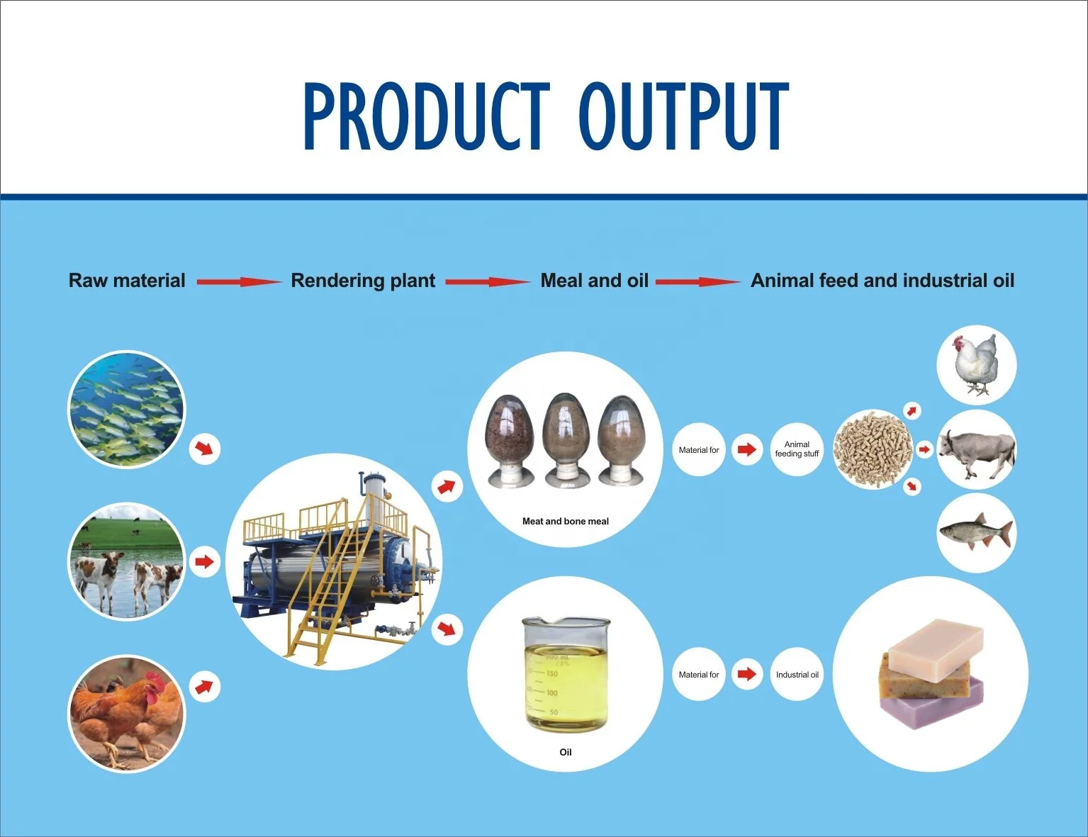 Processing of animals. Processing of animals