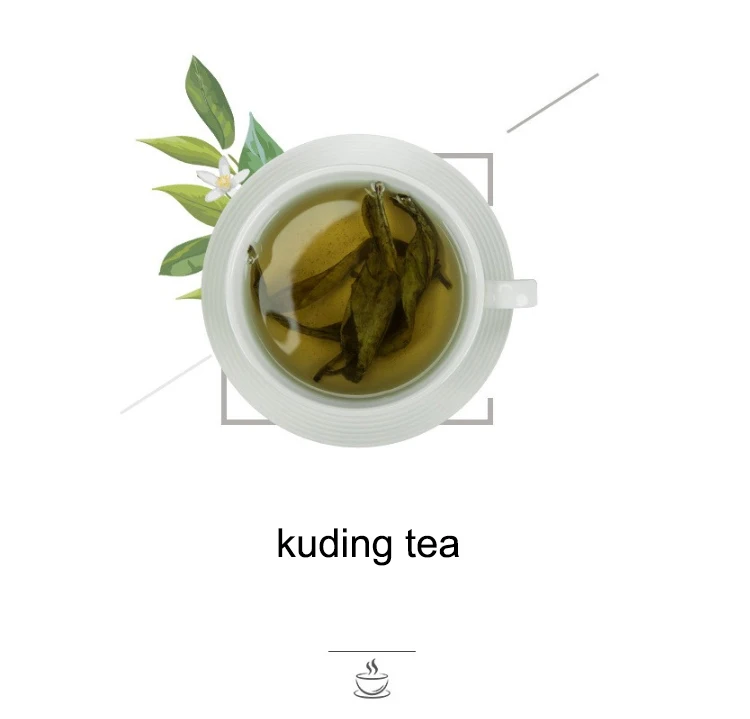 Private Label Broadleaf Holly Leaf Kuding Herbal Healthy Tea Natural