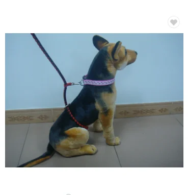 medium dog leash