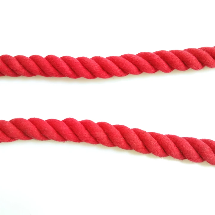 Dog chain 6.jpg