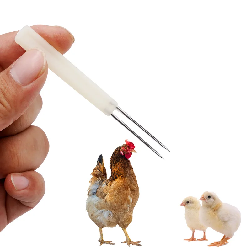 Veterinery Instrument Double Needle Chicken Pox Vaccine Needle Poultry