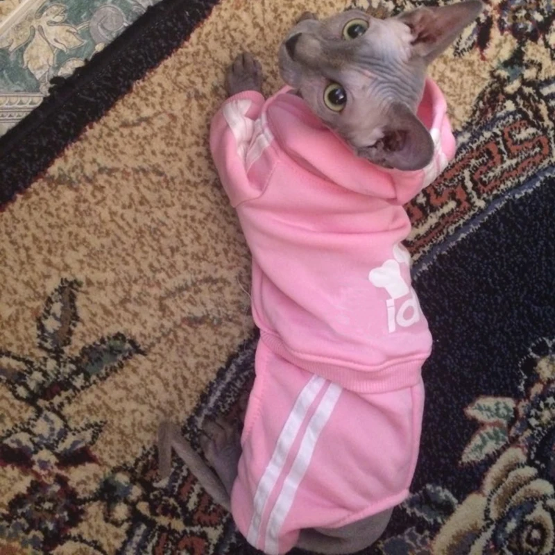moletom com capuz sphynx