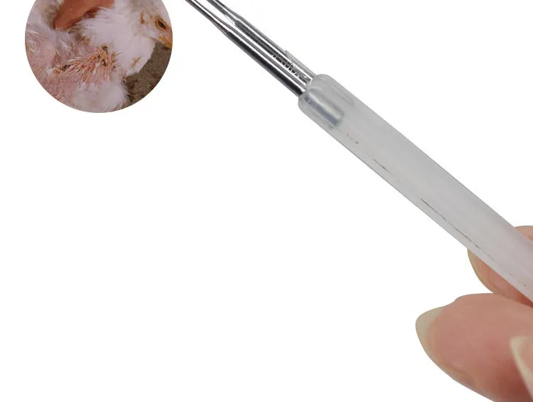 vaccination needles (7)
