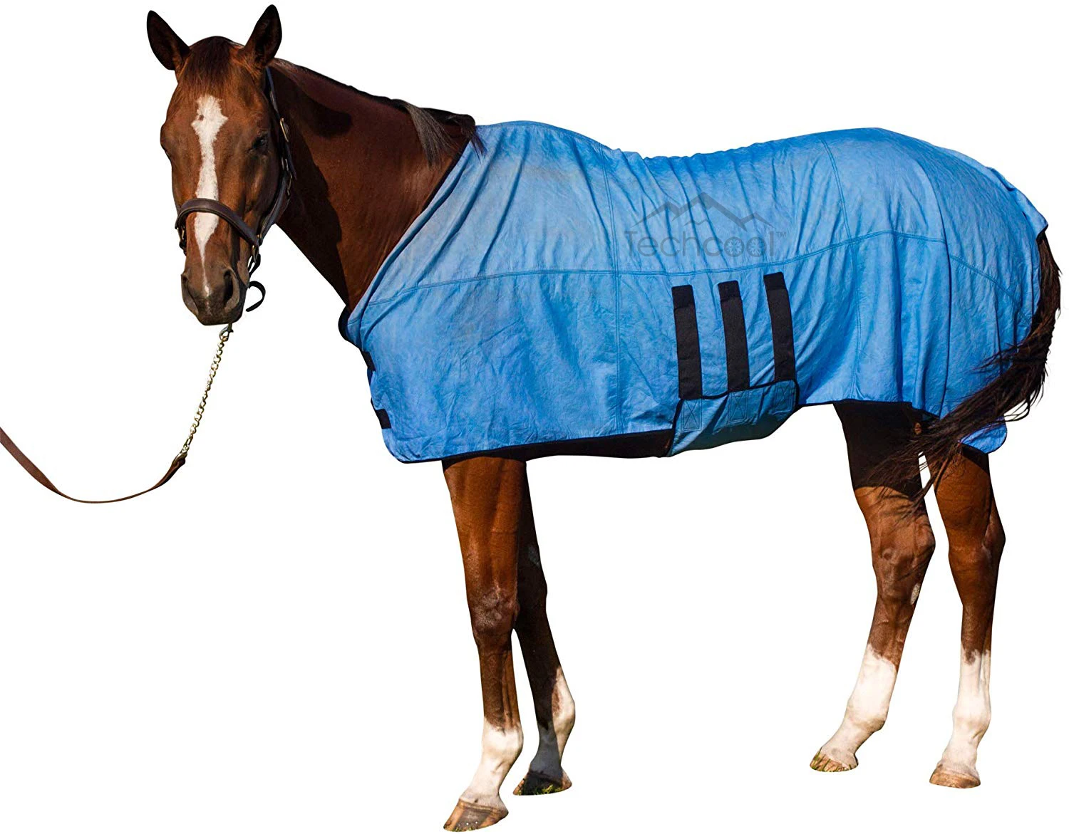 Techcool Summer Evaporative Pva Cooling Horse Blankets Cooling Horse ...