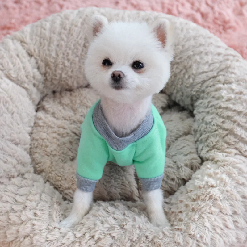 Beautiful pet dog clothes china luxury dog winter clothes cartoon dog clothes