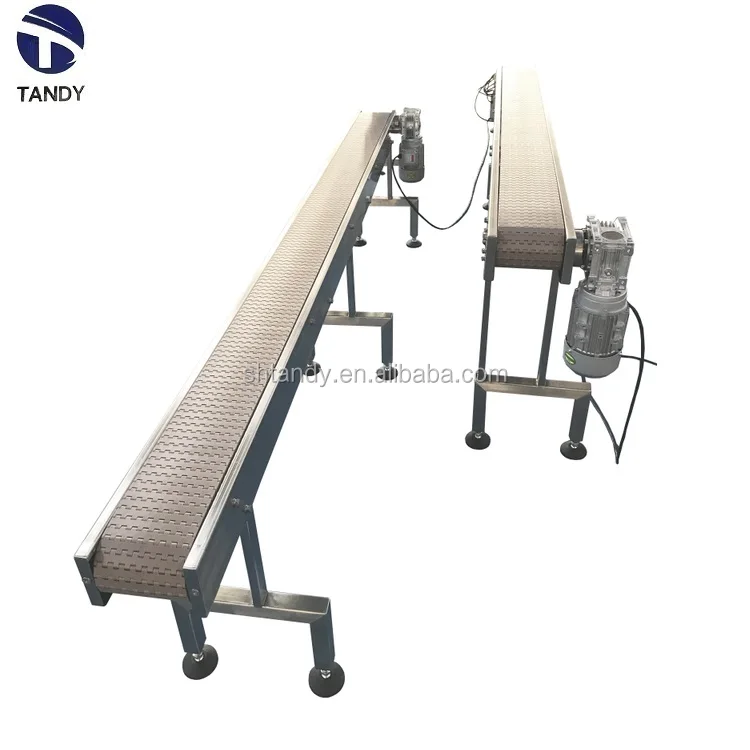 chain conveyor 4B.jpg