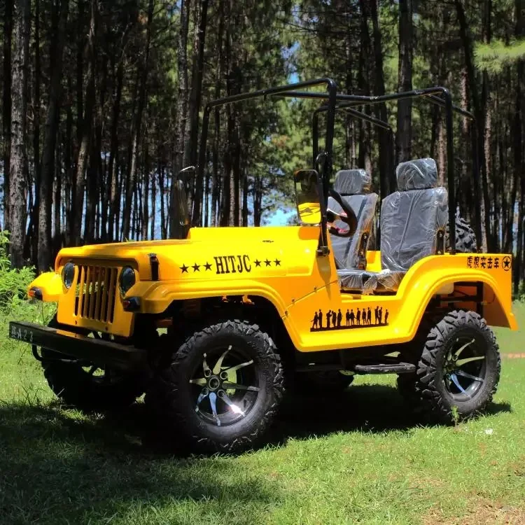 厂家直销 200cc 2 座迷你吉普威利斯成人