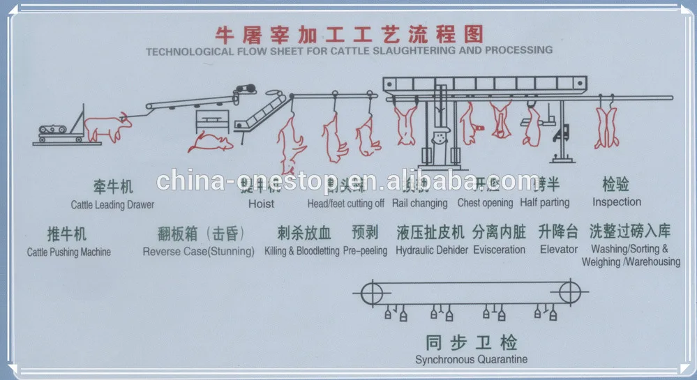 Slaughter equipment cattle slaughterhouse pressure washer