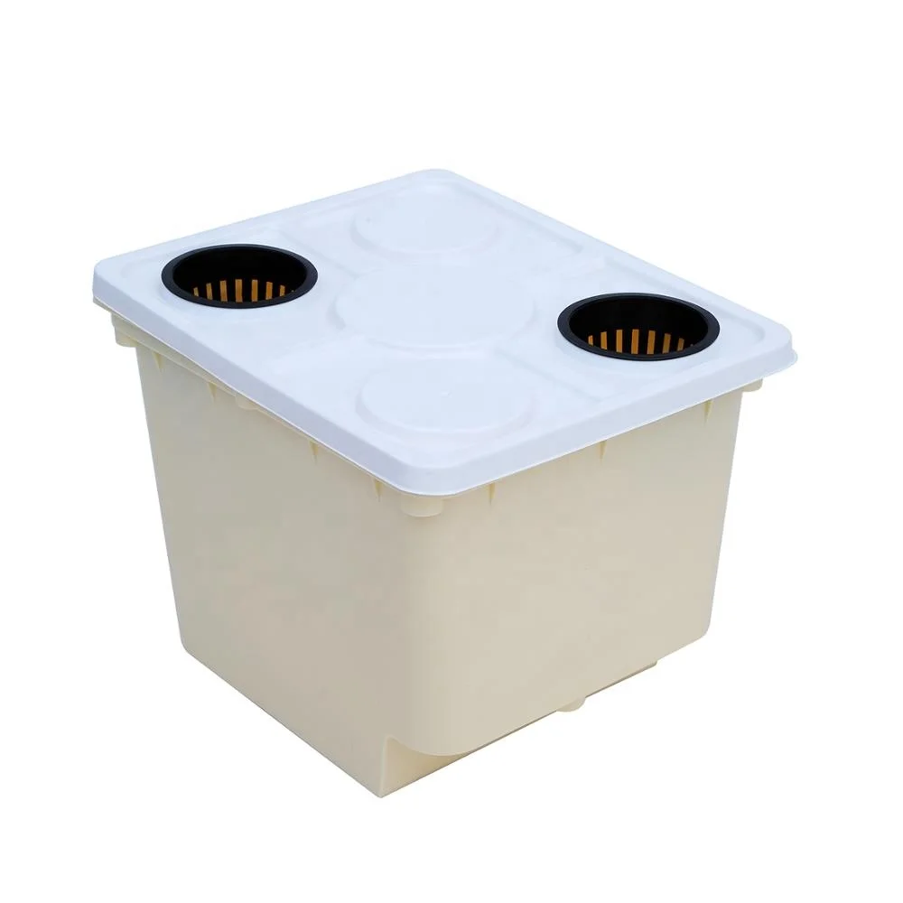 dutch bucket hydroponic system