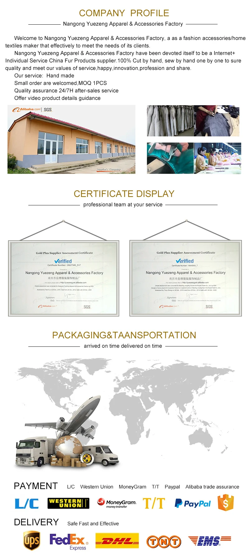 company information