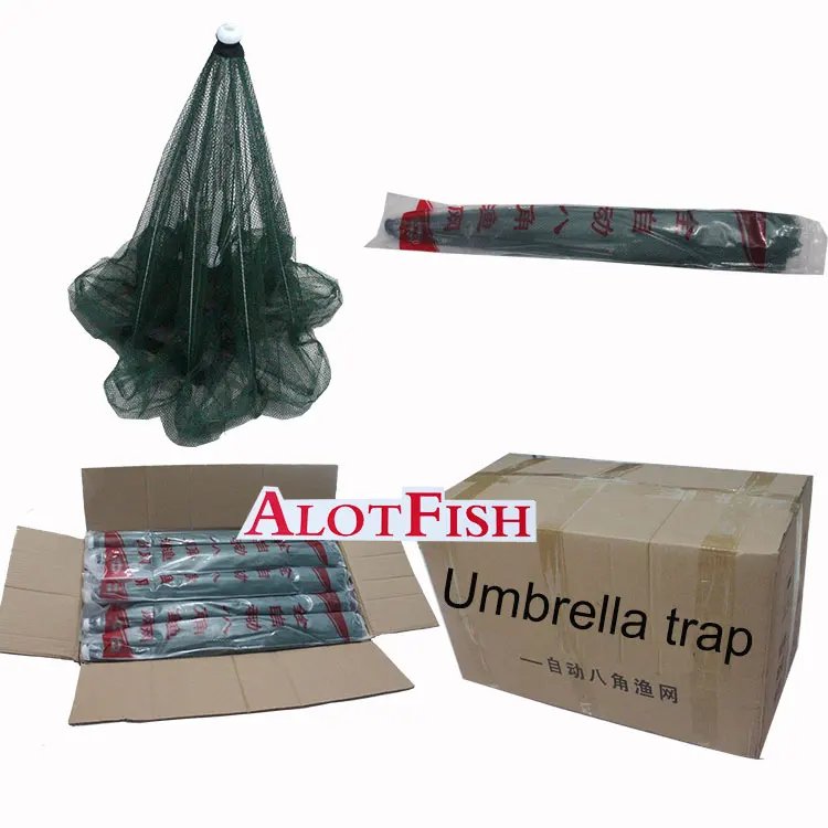 package6