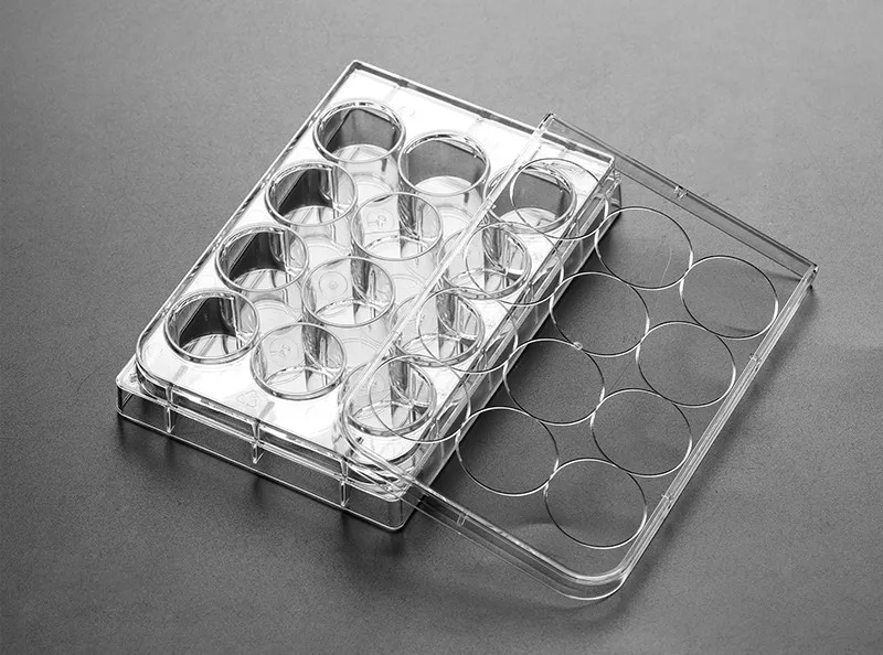 LAB Bacterial culture plate  Culture Plate Nest Cell Culture Multiwell 6 12 24 96 WELLS supplier