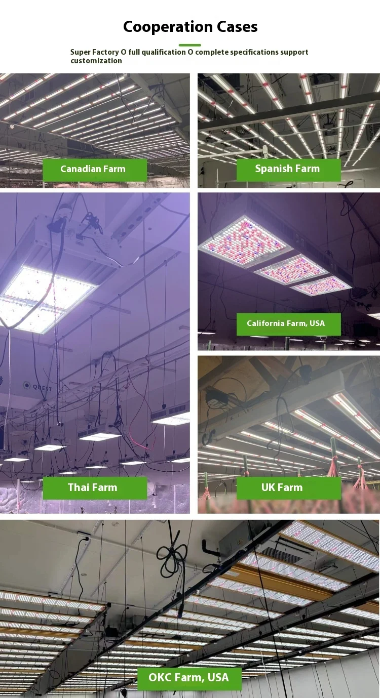 product full spectrum cob led plant tree light ip65 undercanopy bottom supplement for greenhouse vegetable seedling cross border bloom-5