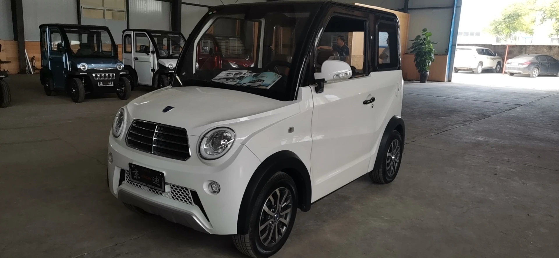 2020 High Speed New Energy China Adult Mini Electric Car Vehicle