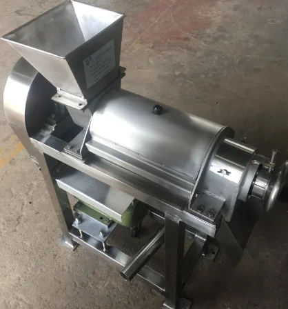 ginger juicer