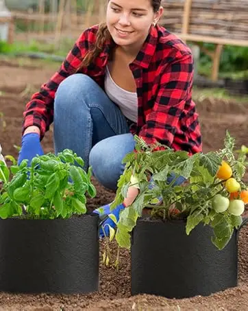 A-ONE Recyclable Durable Eco-friendly Sustainable Non-Woven Fabric Lined 2-3mm Thick Garden Felt Reusable Grow Bags 1-100 supplier