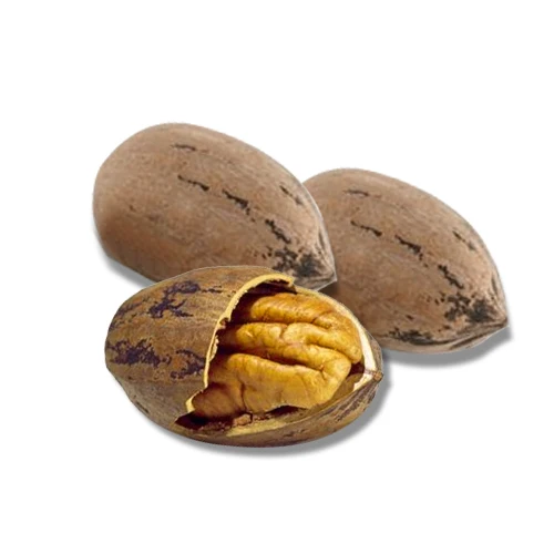 
Top grade Pecans fresh raw whole in shell NEW 2019 crop 