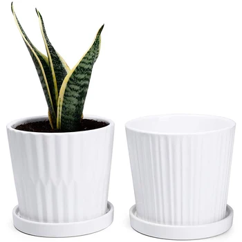 6 Inch White Cylinder Ceramic Indoor Planters Pot With Attached Saucers Buy Ceramic Indoor Plant Pots Cylinder Ceramic Indoor Planters Pot Ceramic Planters Pot With Saucers Product On Alibaba Com