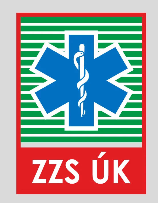 3-zzs uk logo.png