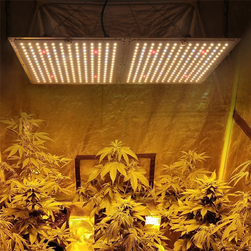 Best Selling In Usa Aeroponic Growing Systems lm301h 450 V2Commercial Greenhouses White Led Grow Light 450w