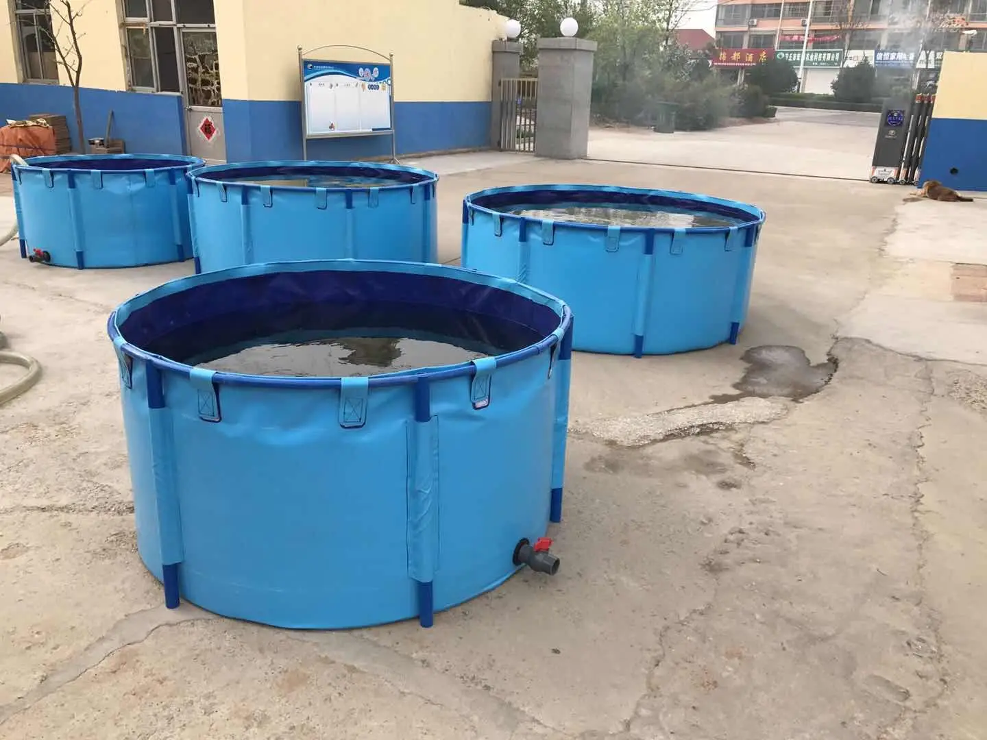 10000l Round Tilapia Fish Farming Pond Tanks Circular Aquaculture ...