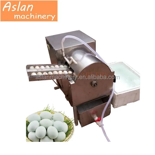 egg washer22.jpg
