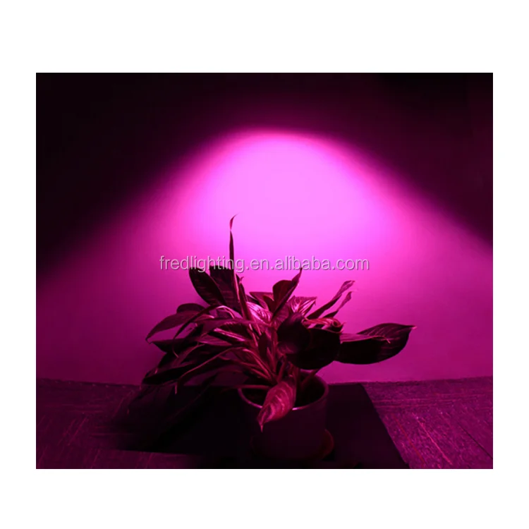 Factory Supply Greenhouse Plant Grow Panel 200W Sunlight White Red Blue LEDs Growing Lamp