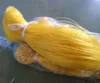 Cheap nylon mono multifilament fishing gill net sale