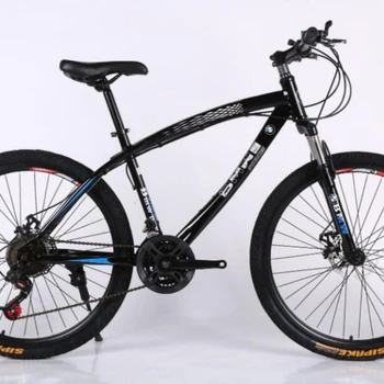 adult mountain bike