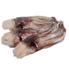 squid rings and tentacles High grade High quality seafood fish