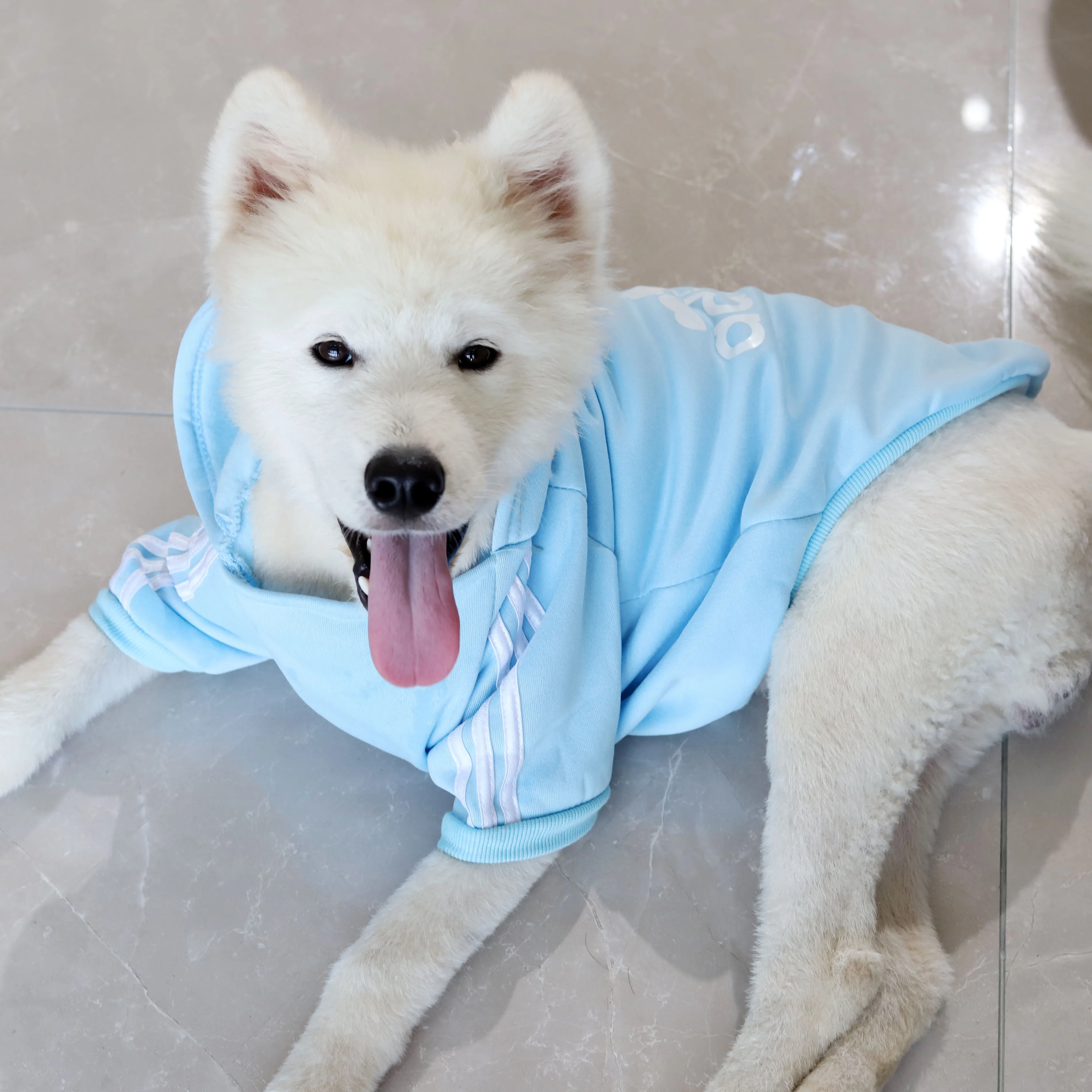 Dog Clothes Winter Pet Clothing Chihuahua Ropa Perro French Bulldog Coat Shirt Solid Sweatshirt For Dogs Pets Costume