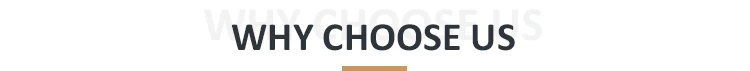 why-choose-us.jpg