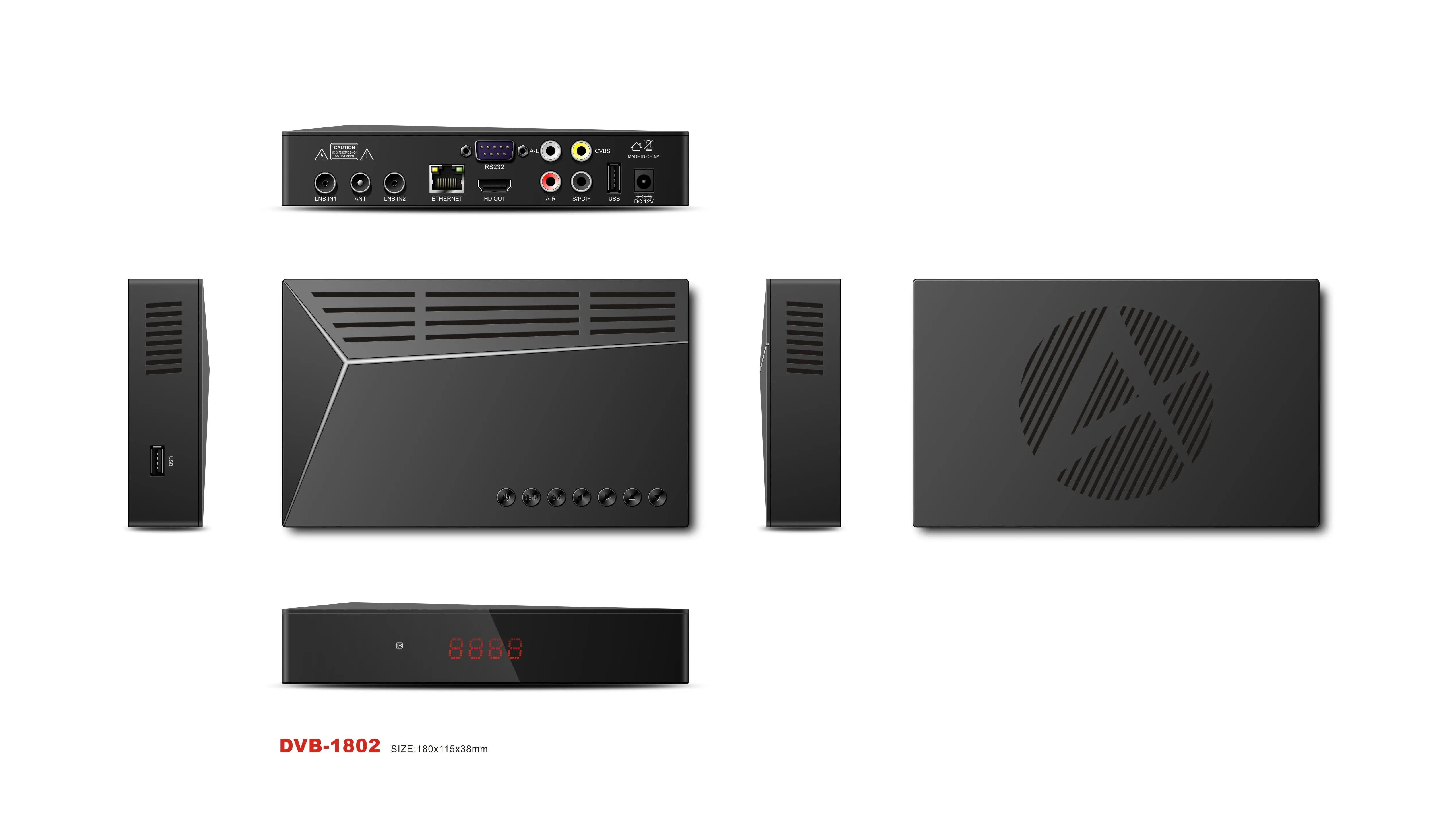DVB (13).jpg