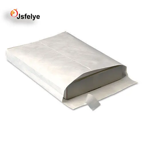 Tyvek envelope-1.jpg