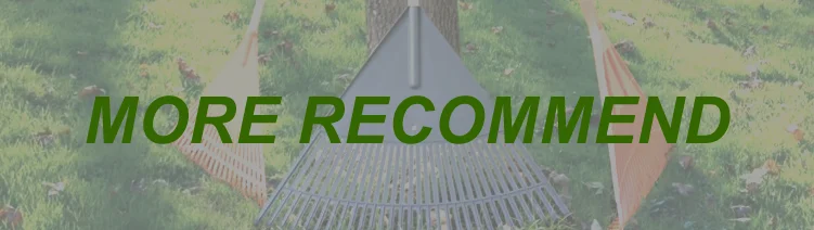 RECOMMEND.png