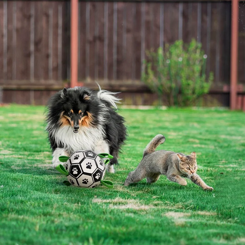 Wellfine 2022 Eco Friendly Interactive Game Durable Pet Ball Toy For wellfine-2022-eco-friendly-interactive-game-durable-pet-ball-toy-for
