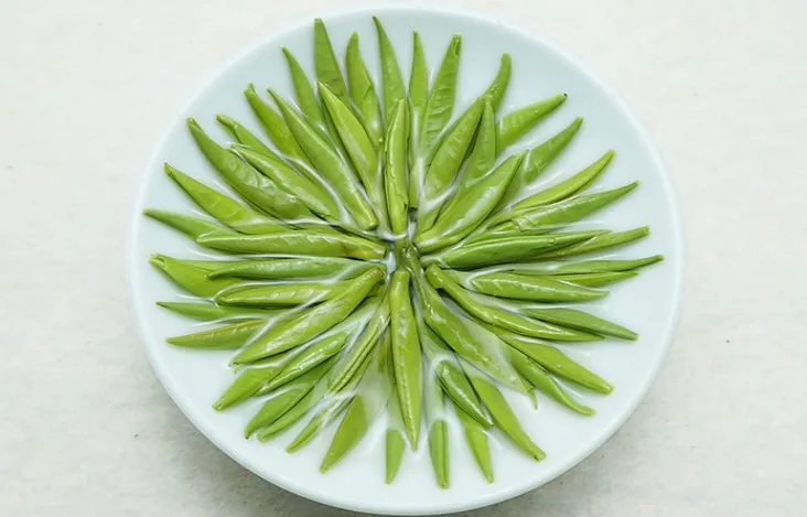 yinzheng