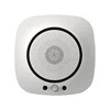 Smart Ceiling Mounted Wireless Indoor Optical Standalone Fixed Multi Ch4 Gas Cylinder Leak Detector China